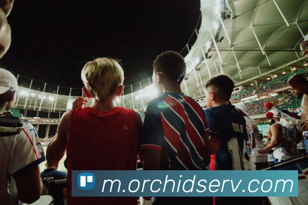 App界面